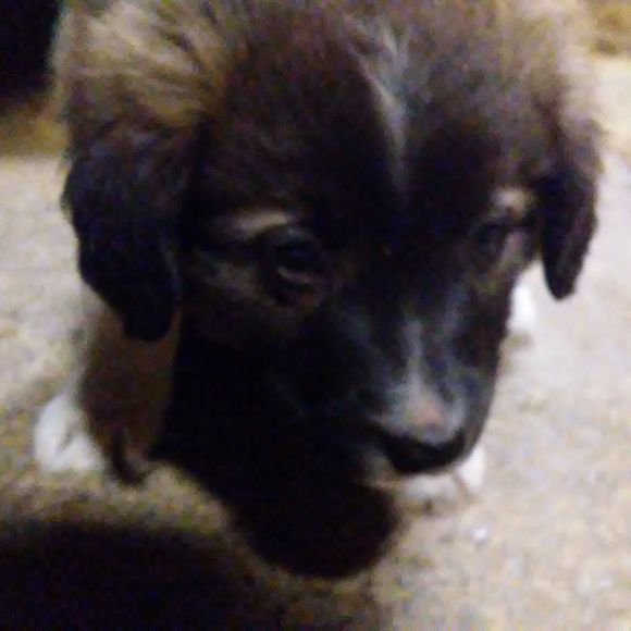 Meet your Posher, Haley - Picture 1 of 1